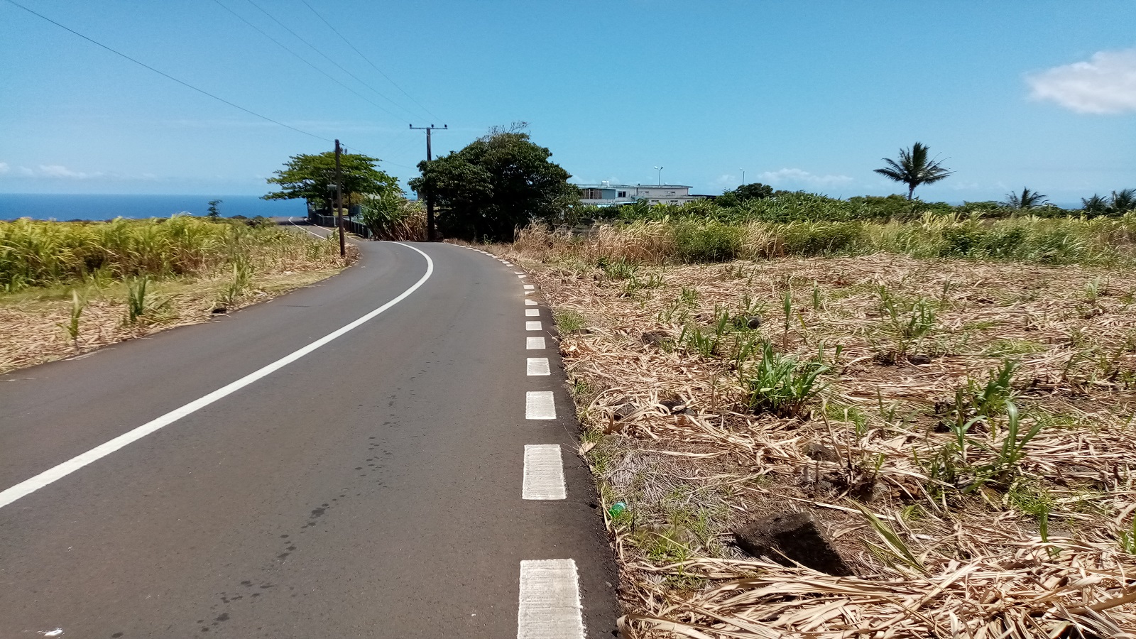 Chamouny Link Road Mauritius For Sale Agricole Land 153perches
