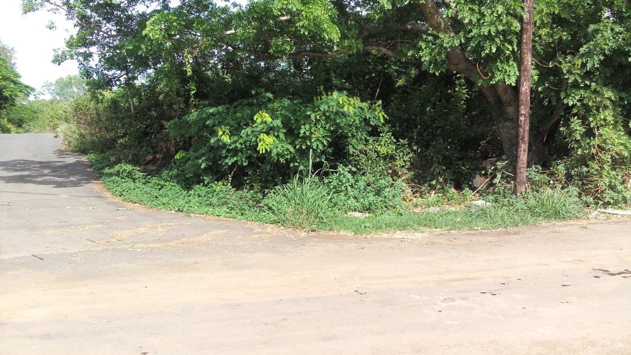 For Sale At Riviere Du Rempart , Chemin 20 Pied